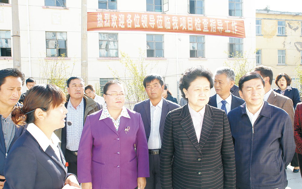时任中央政治局委员，，，，，，国务院副总理、党组成员刘延东视察湖北JDB电子集团青海项目部