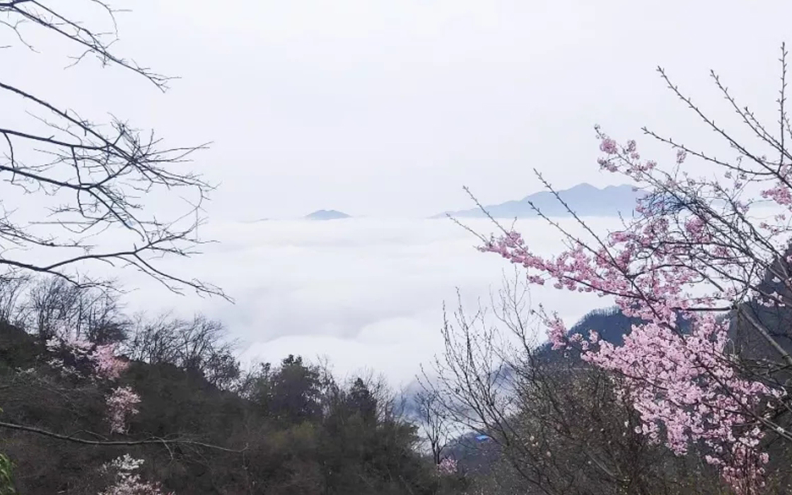 JDB电子·(中国区)试玩平台-JDB电子游戏官网
