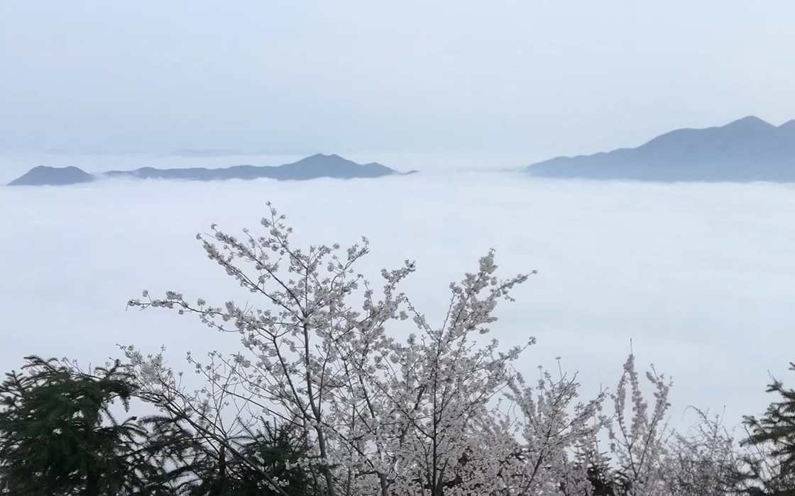 JDB电子·(中国区)试玩平台-JDB电子游戏官网