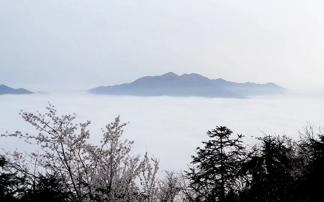 JDB电子·(中国区)试玩平台-JDB电子游戏官网