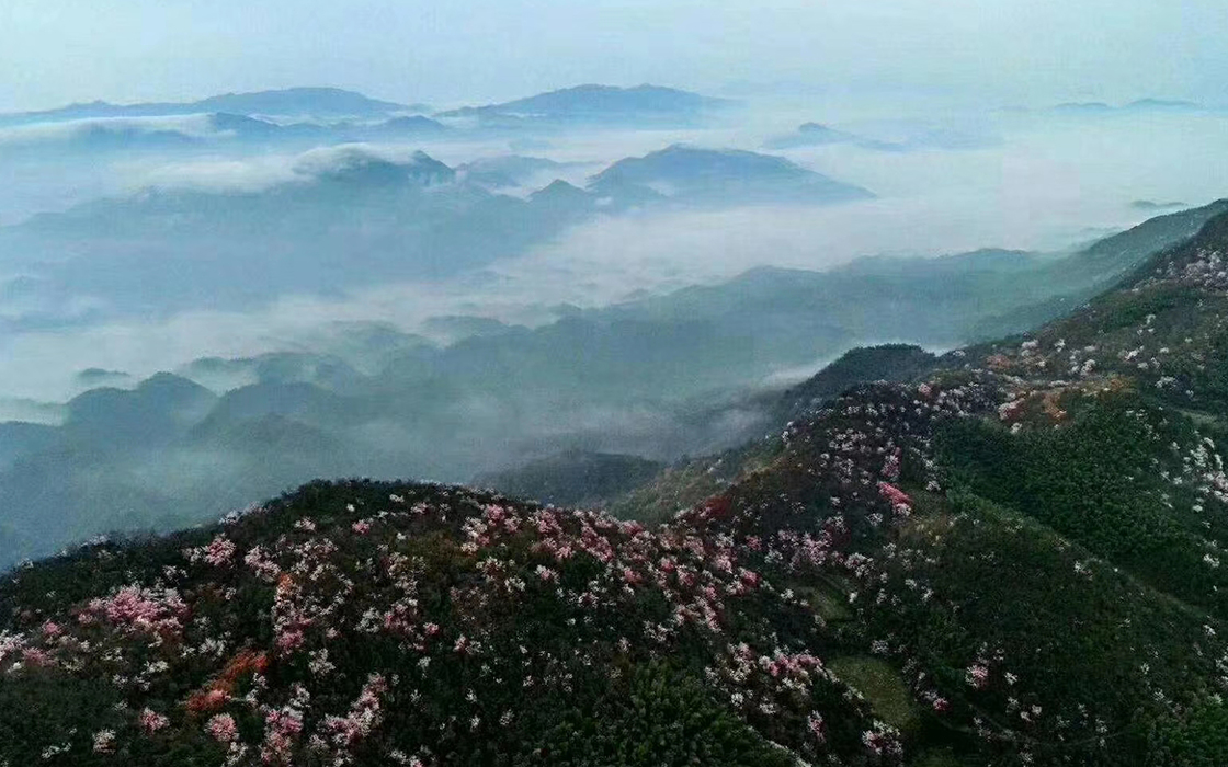 JDB电子·(中国区)试玩平台-JDB电子游戏官网