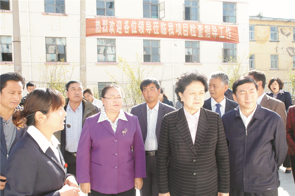 4中央政治局委员，，，，国务院副总理、党组成员刘延东视察湖北JDB电子集团青海项目部 